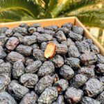 আজওয়া VIP - Image 3