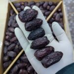 কালমি মরিয়ম VIP - Image 2